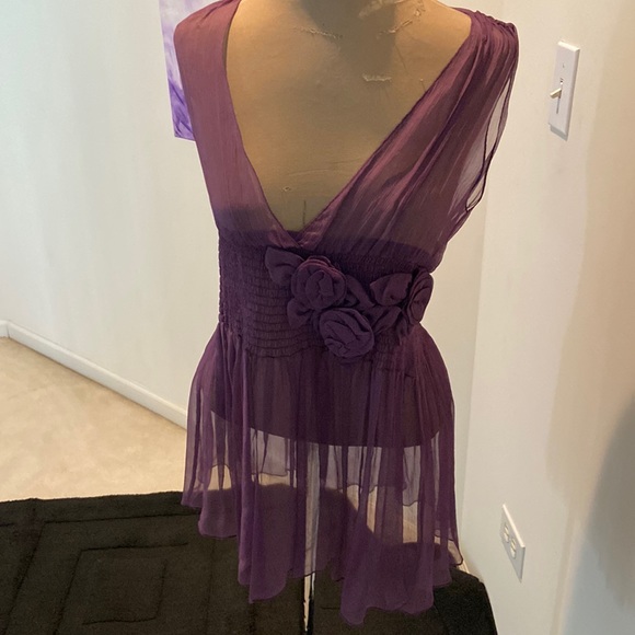 Sheer Silk Blouse - Picture 1 of 10